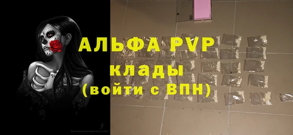 дмт Бердск