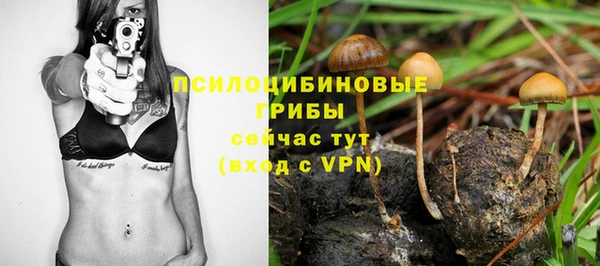 амф Абдулино
