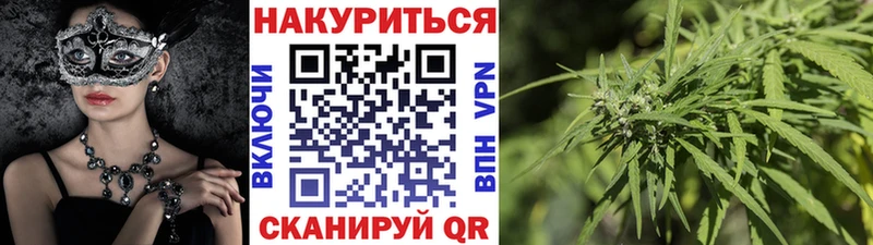 Конопля семена  магазин    Данилов 